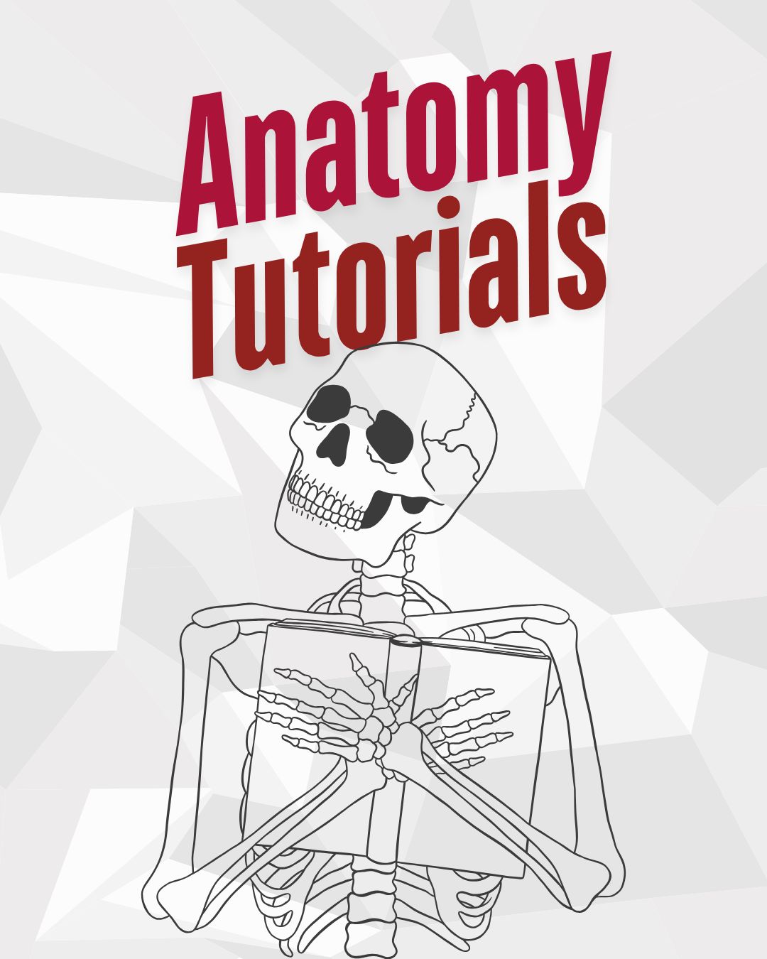 Anatomy Tutorial (2-Hour Session)