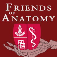 Friends of Anatomy
